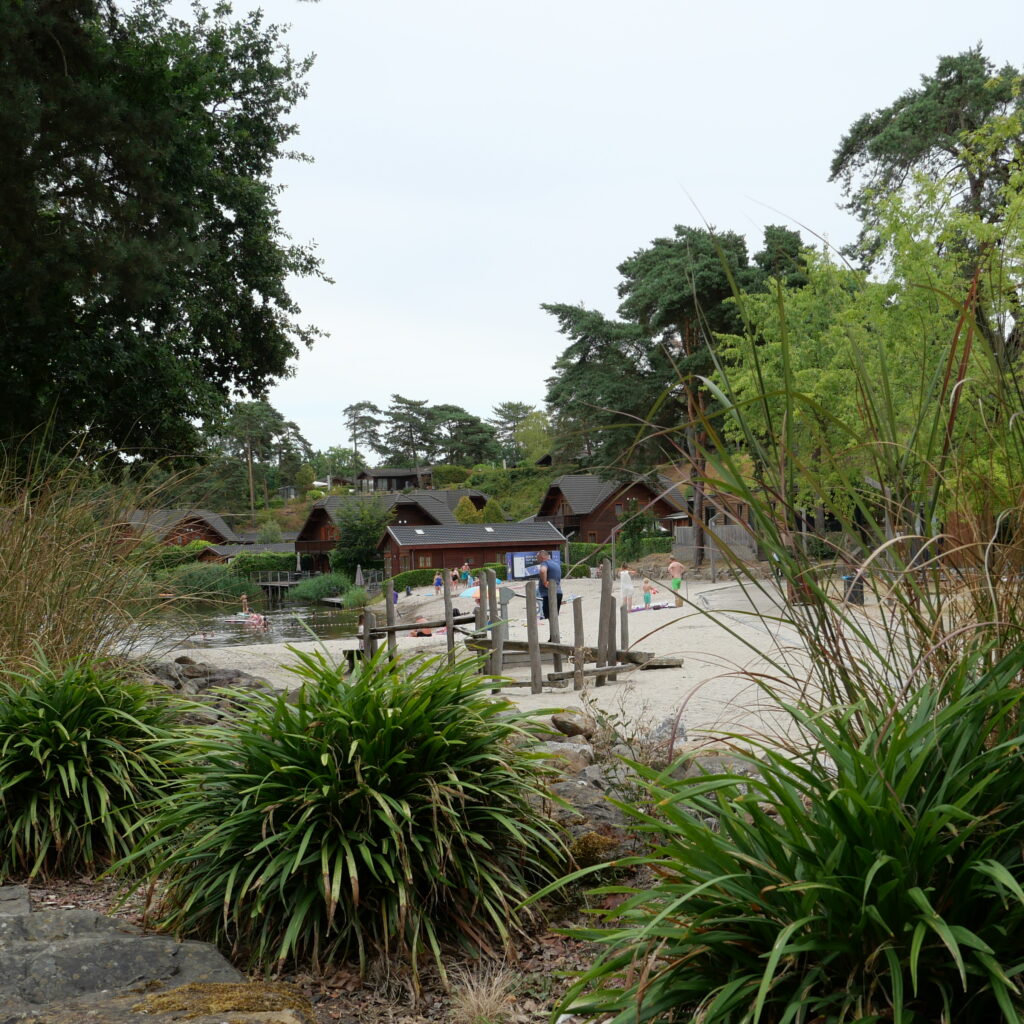 De zwemvijver met strand en speeltuin