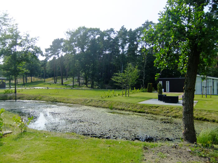 HistoryBrunssummerheide 01